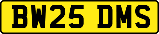 BW25DMS