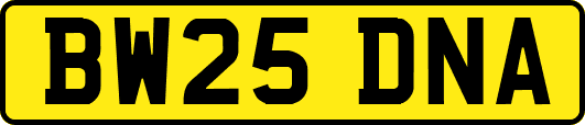 BW25DNA