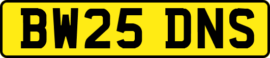 BW25DNS