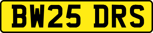 BW25DRS