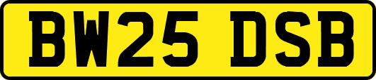 BW25DSB