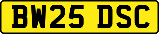 BW25DSC