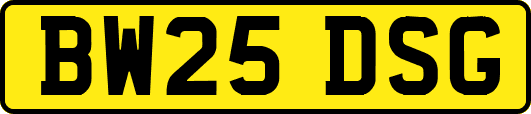 BW25DSG