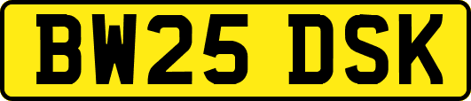 BW25DSK