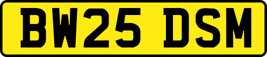 BW25DSM