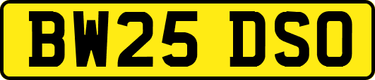 BW25DSO