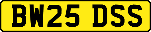 BW25DSS