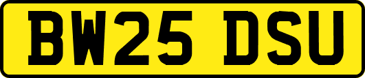 BW25DSU