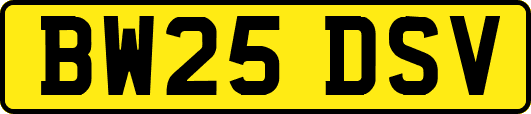 BW25DSV