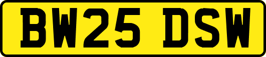 BW25DSW