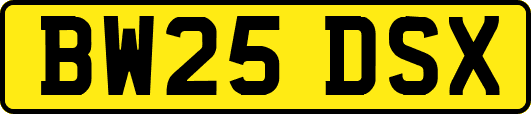 BW25DSX