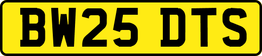 BW25DTS