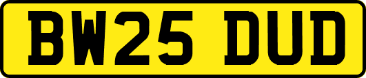 BW25DUD
