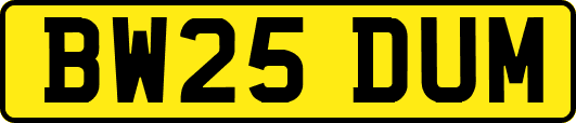 BW25DUM