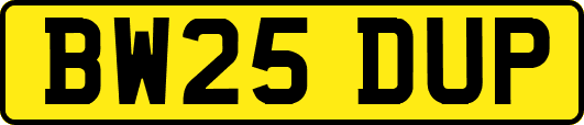 BW25DUP