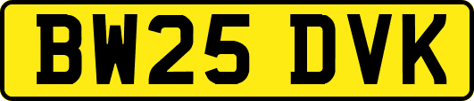 BW25DVK