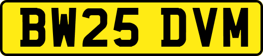 BW25DVM