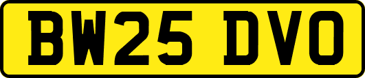 BW25DVO