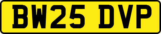 BW25DVP