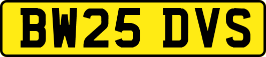 BW25DVS