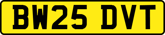 BW25DVT