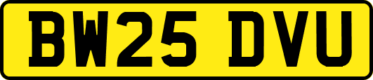 BW25DVU