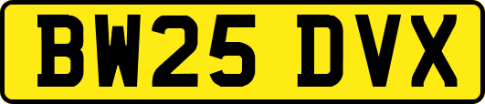 BW25DVX