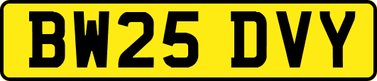 BW25DVY