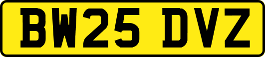 BW25DVZ