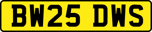 BW25DWS