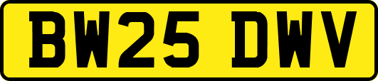 BW25DWV