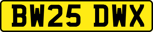 BW25DWX