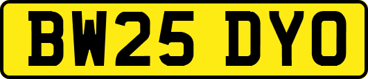 BW25DYO