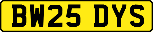 BW25DYS
