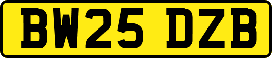 BW25DZB