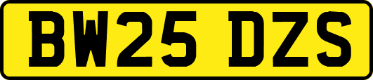 BW25DZS