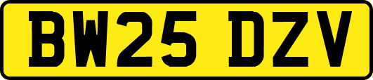 BW25DZV