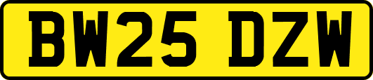 BW25DZW