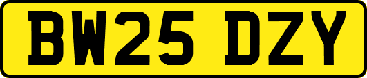BW25DZY