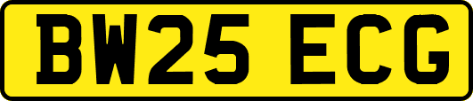 BW25ECG