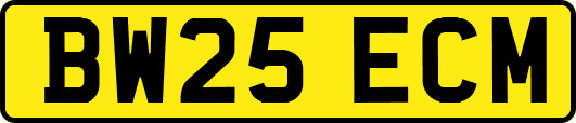BW25ECM