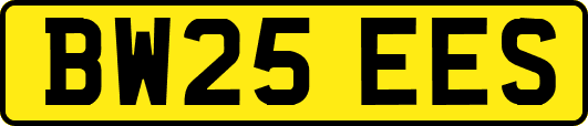 BW25EES