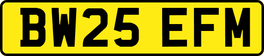 BW25EFM