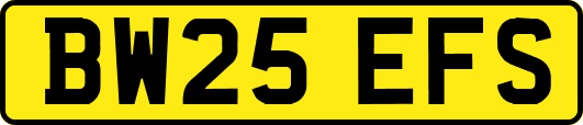 BW25EFS