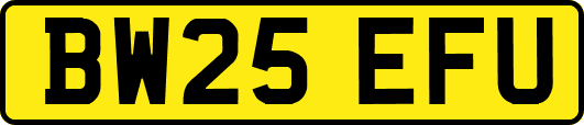 BW25EFU