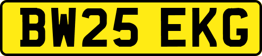 BW25EKG