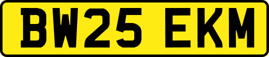 BW25EKM