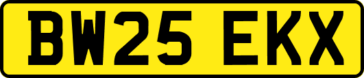BW25EKX