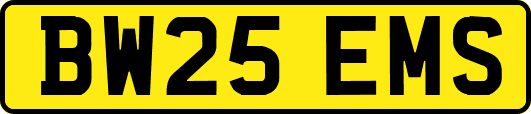 BW25EMS