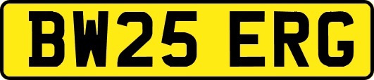 BW25ERG